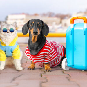 Lodging & Ledgers Webinar